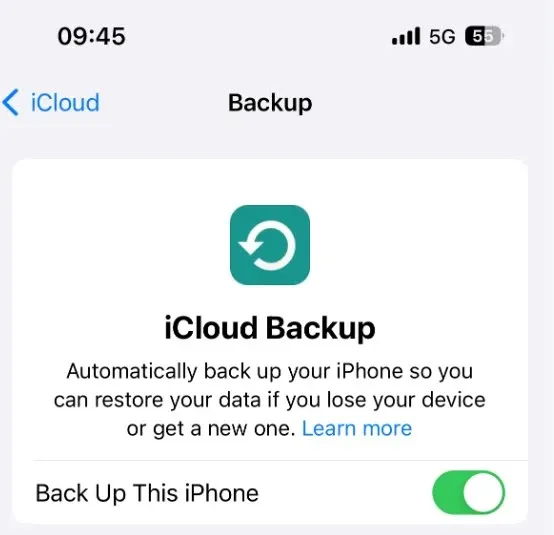 
iCloud backup.