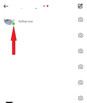 
Seeing a green dot beside their profile picture.