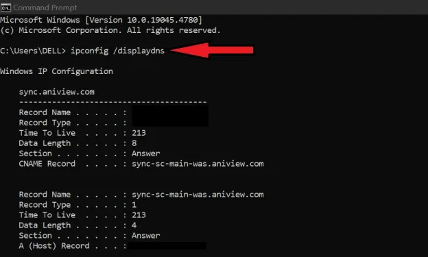 Type in ipconfig /displaydns.