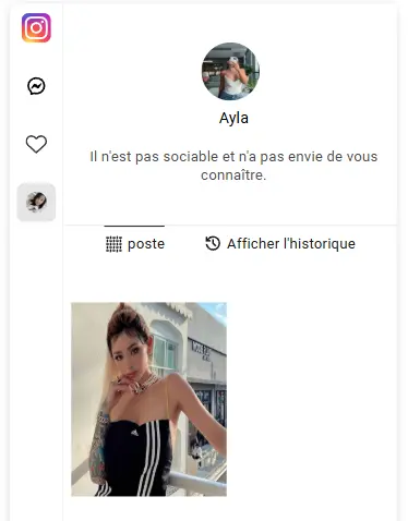 Voir les anciennes photos instagram de quelqu'un avec Msafely