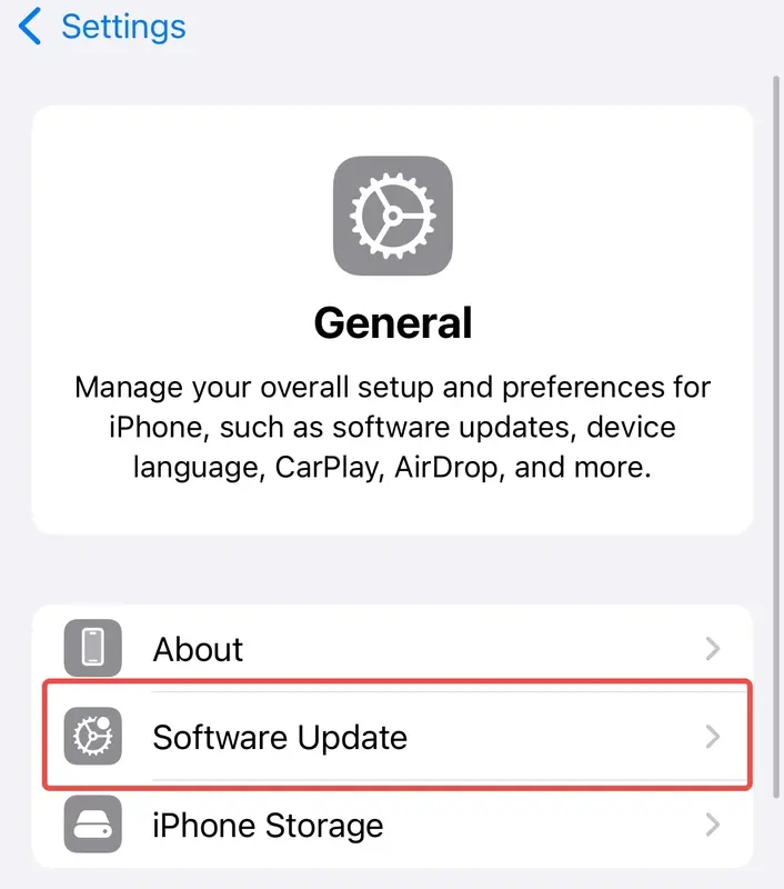 Software Update option in iPhone settings.