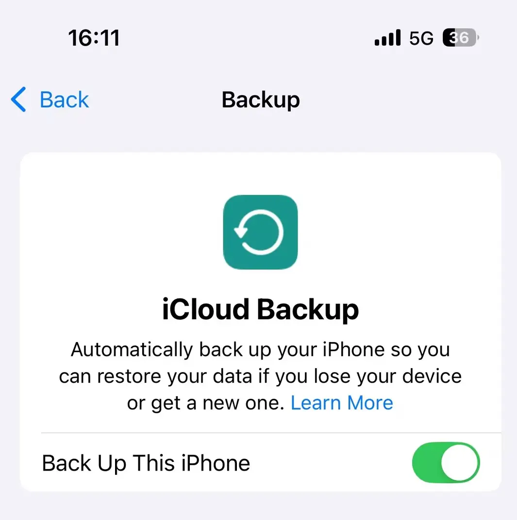 Enable iCloud backup.