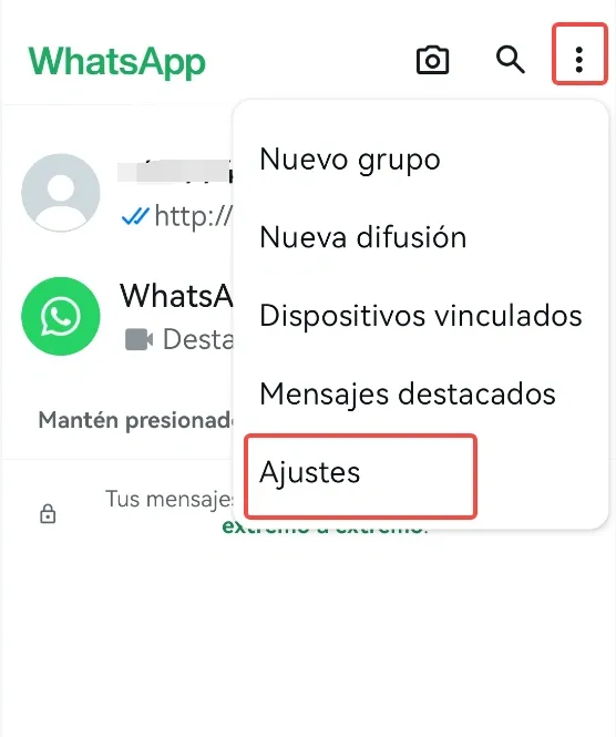 Captura de pantalla de WhatsApp Ajustes.