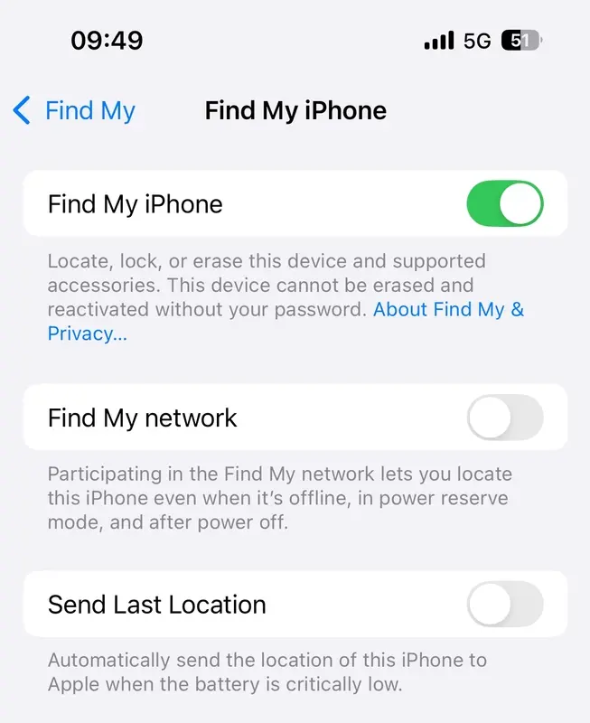 Enable Find My iPhone.