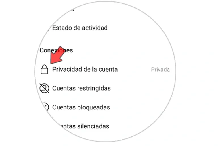 Privacidad de cuenta en Instagram.