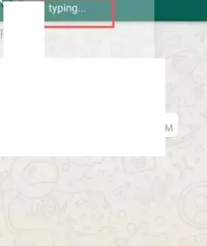 Typing indicators.