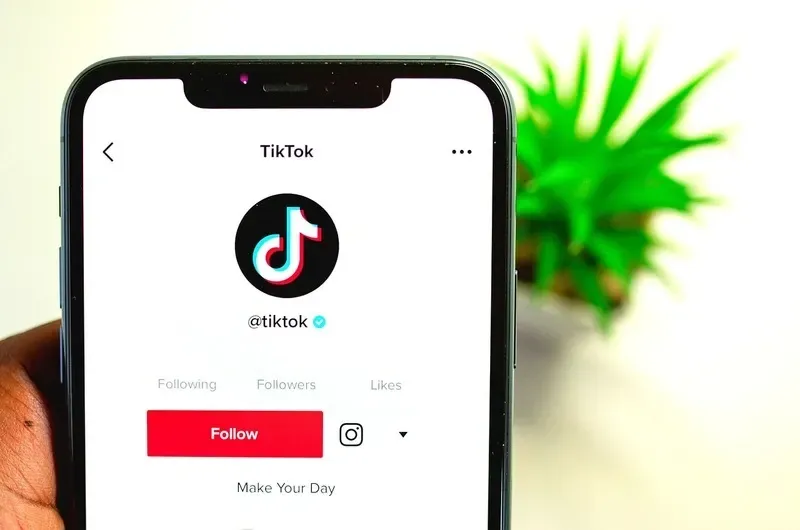 5 Ways to See a Private TikTok Account Without Following