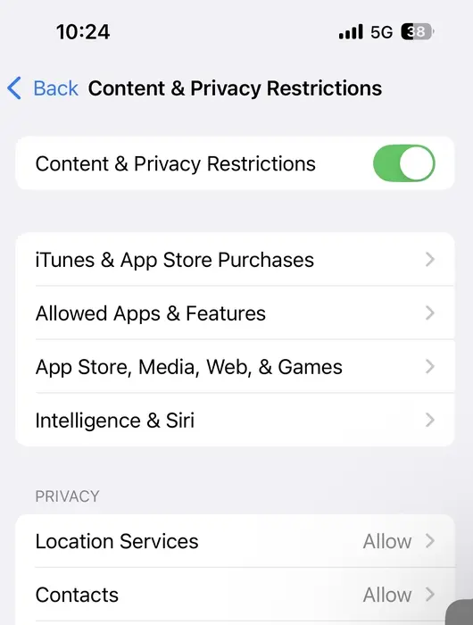 Toggle Content & Privacy Restrictions to turn it on.