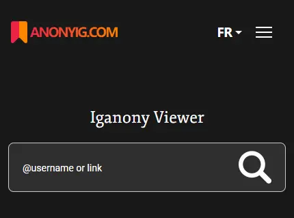 IGanony - Instagram Story Viewer sans trace